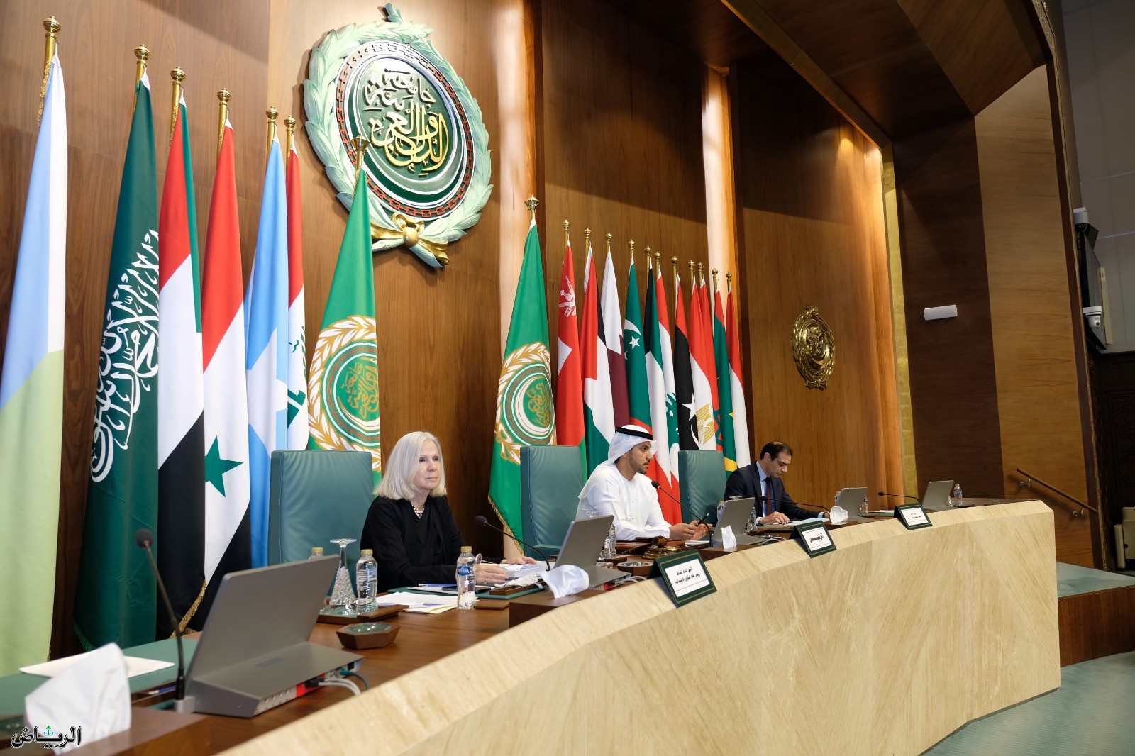 انعقاد الدورة 114 للمجلس الاقتصادي والاجتماعي العربي على المستوى الوزاري بالقاهرة بمشاركة المغرب 1 ligue arabe 1