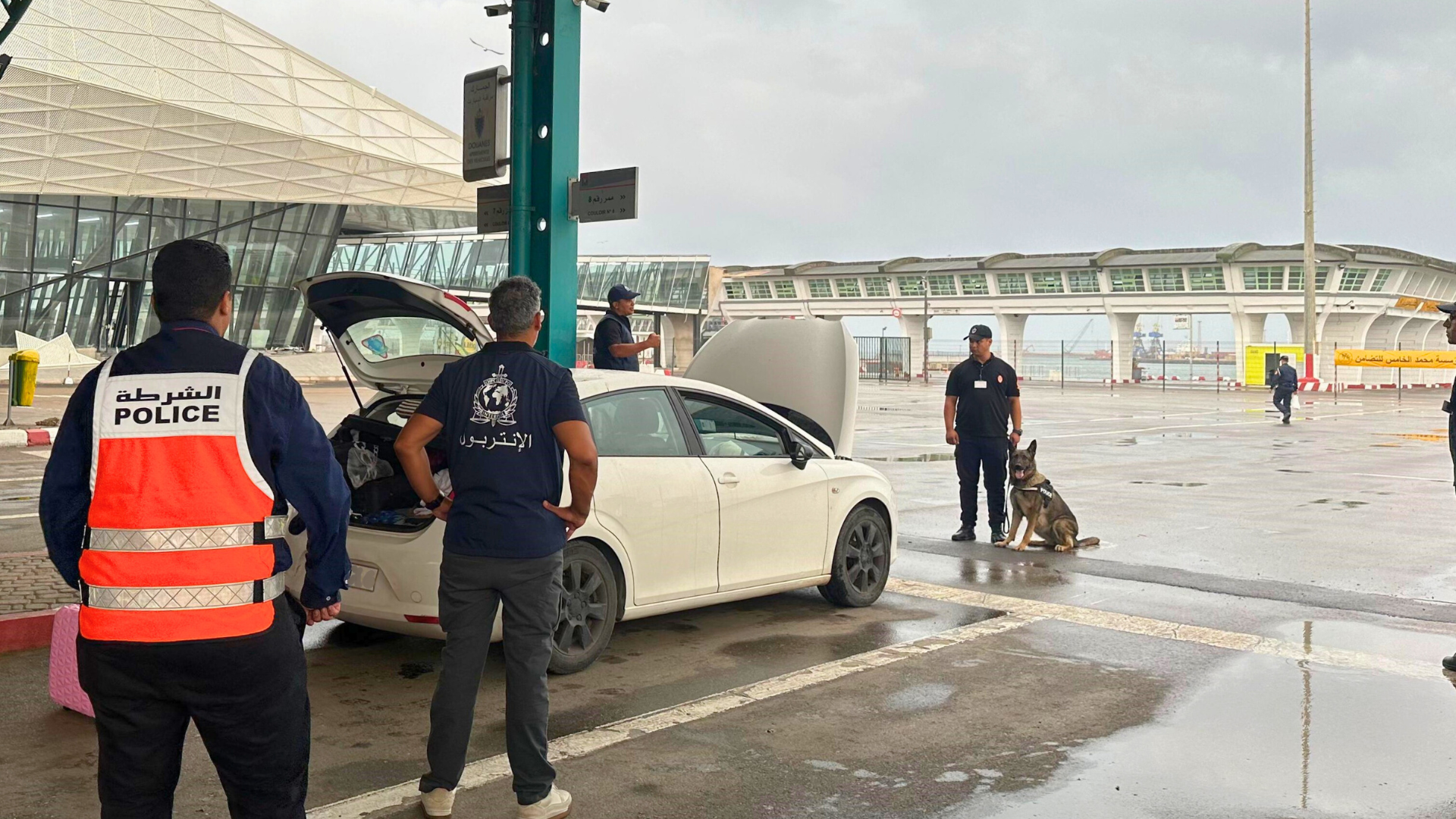 بمشاركة المغرب.. الأنتربول يقود عملية دولية لمكافحة الإرهاب تسفر عن اعتقال 66 شخصا 1 interpol maroc