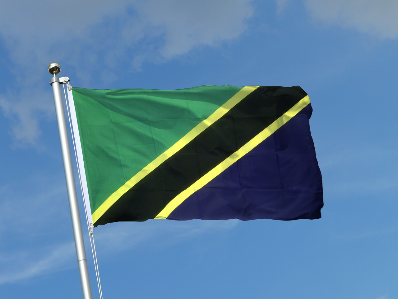 تنزانيا تشيد بالمبادرة الإفريقية الأطلسية التي أطلقها الملك محمد السادس 1 tanzanie