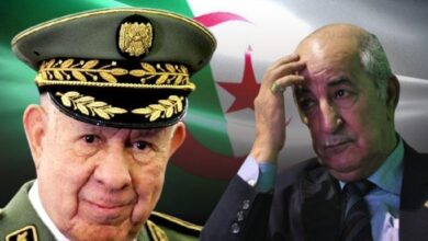 الجزائر
