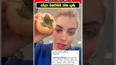 لطيفة إيطاليا