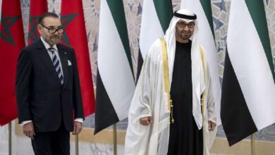 محمد بن زايد