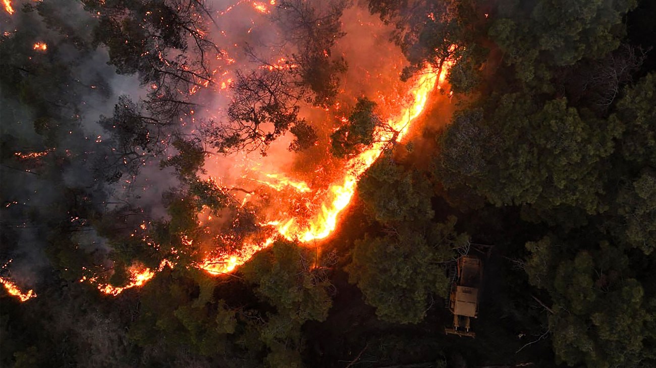 حرائق كارثية تجتاح اللاذقية بسوريا والأمم المتحدة تدعو إلى دعم دولي عاجل 1 incendies Syrie