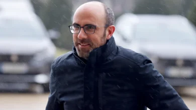 نيكولا ليرنر