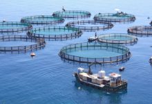 المساحات البحرية