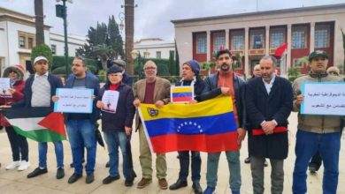 أنصار البوليساريو