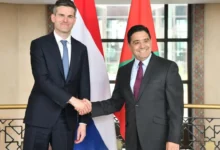 توم بيريندسن هولندا