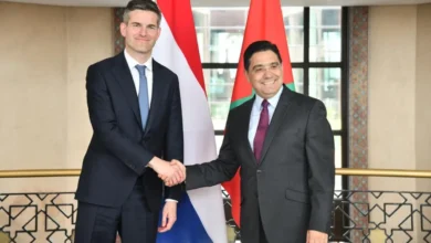 توم بيريندسن هولندا