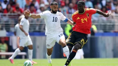 مصر بلجيكا
