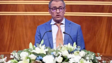 أحمد رضا الشامي